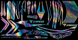 RS 200 BÖLGESEL HOLOGRAM STİCKER SET resmi