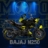 BAJAJ N250 STİCKER SET resmi