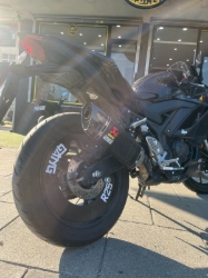 JANT KAPAĞI (ARKA) resmi