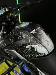 TVS RAİDER STCKER SET resmi