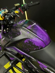 TVS RAİDER STİCKER SET resmi