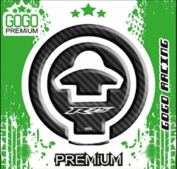 YAMAHA R25 2014 - 2018 UYUMLU DEPO KAPAK PAD 009 resmi