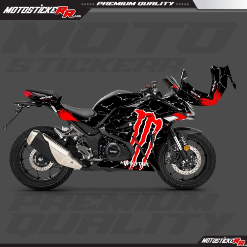 RKS R250 STİCKER SET resmi