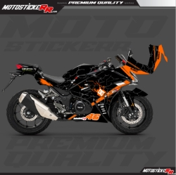 RKS R250 STİCKER SET resmi