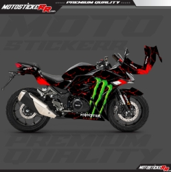 RKS R250 STİCKER SET resmi