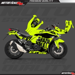 RKS R250 STİCKER SET resmi