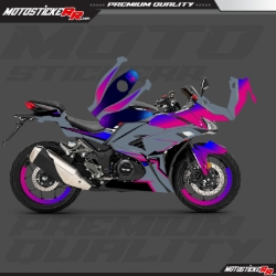 RKS R250 STİCKER SET resmi