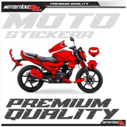 TVS RAİDER STİCKER SET resmi